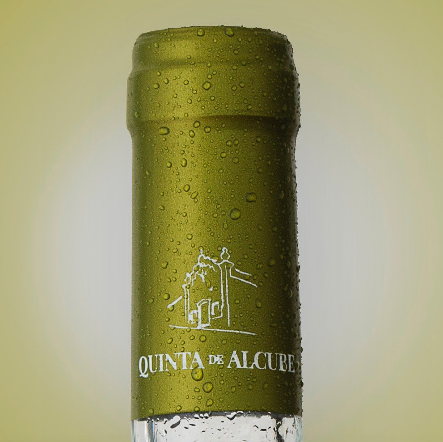 Quinta de Alcube - Arinto - 2021